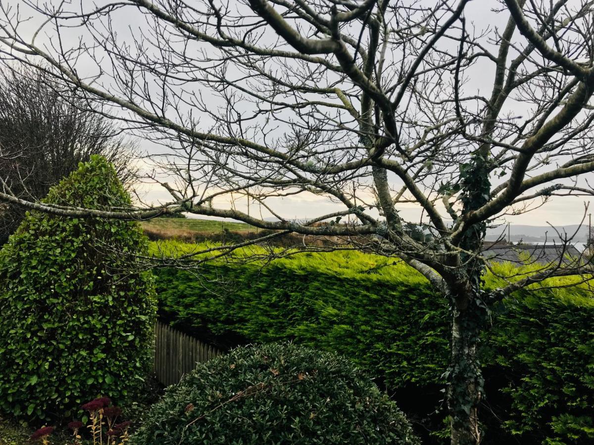 Hill Sea View Cottage Glengarriff Εξωτερικό φωτογραφία